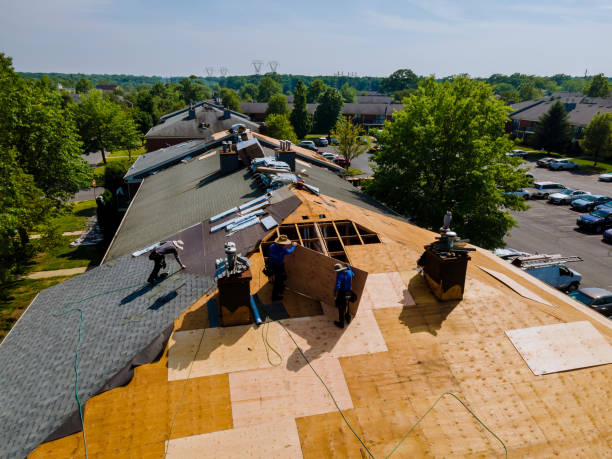 Trusted Roof Replacement service in Hereford, OR - Brentwood Metal Roofing